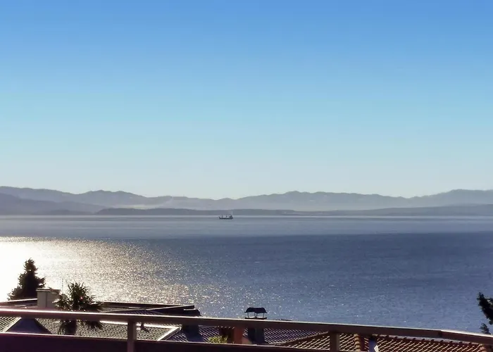 Pet Friendly In Holiday home